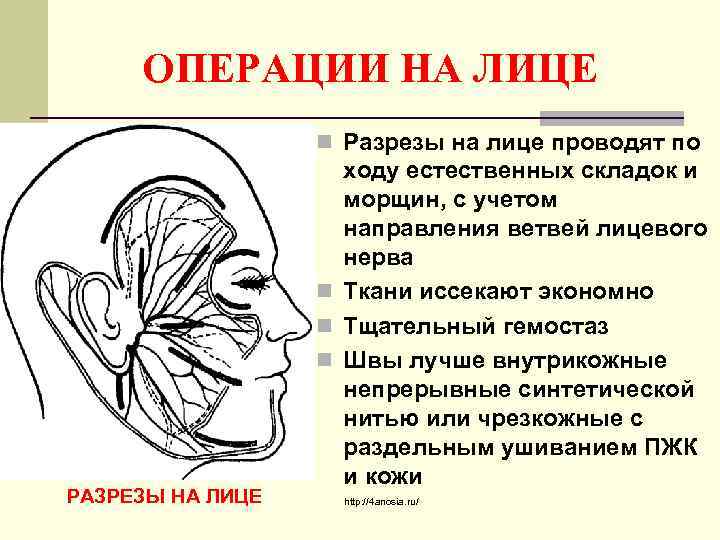ОПЕРАЦИИ НА ЛИЦЕ n Разрезы на лице проводят по РАЗРЕЗЫ НА ЛИЦЕ ходу естественных