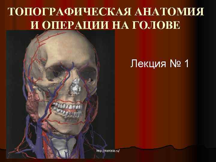ТОПОГРАФИЧЕСКАЯ АНАТОМИЯ И ОПЕРАЦИИ НА ГОЛОВЕ Лекция № 1 http: //4 anosia. ru/ 