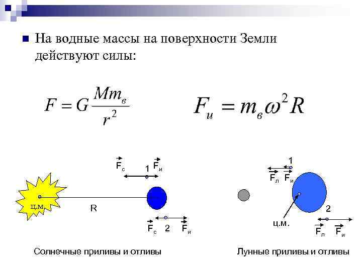 n На водные массы на поверхности Земли действуют силы: Fc ц. м. 1 1