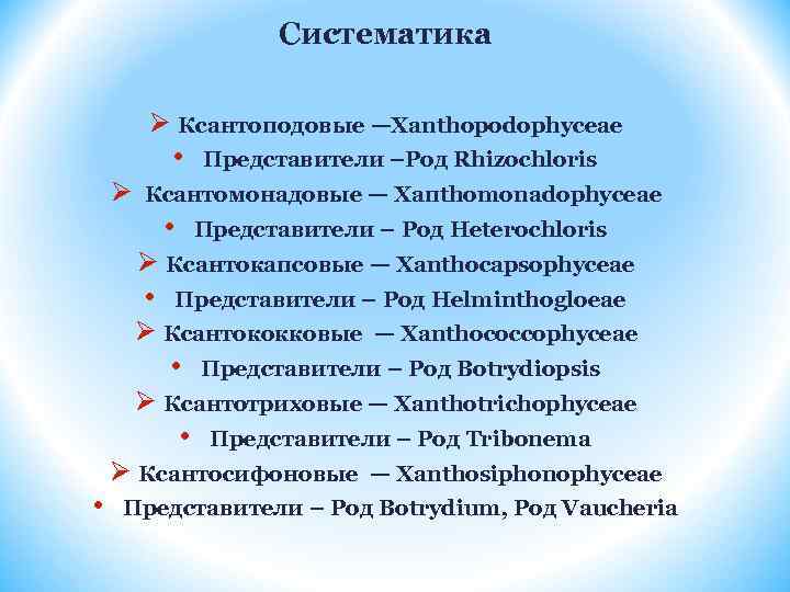 Систематика Ø Ксантоподовые —Xanthopodophyceae • Представители –Род Rhizochloris Ø Ксантомонадовые — Хапthomonadophyceae • Представители