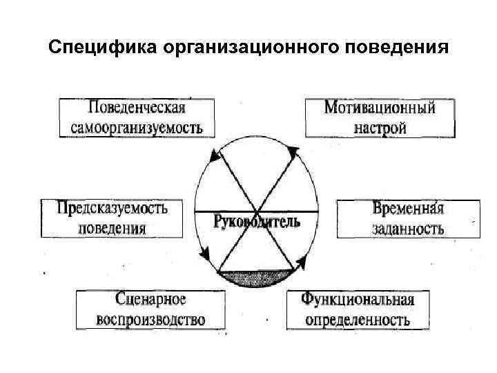 Специфика организационного поведения 