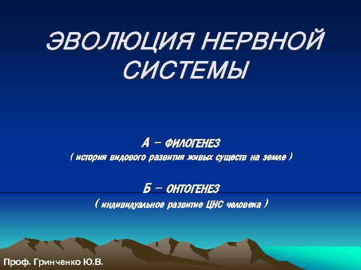 ЭВОЛЮЦИЯ НЕРВНОЙ СИСТЕМЫ А – ФИЛОГЕНЕЗ ( история видового развития живых существ на земле