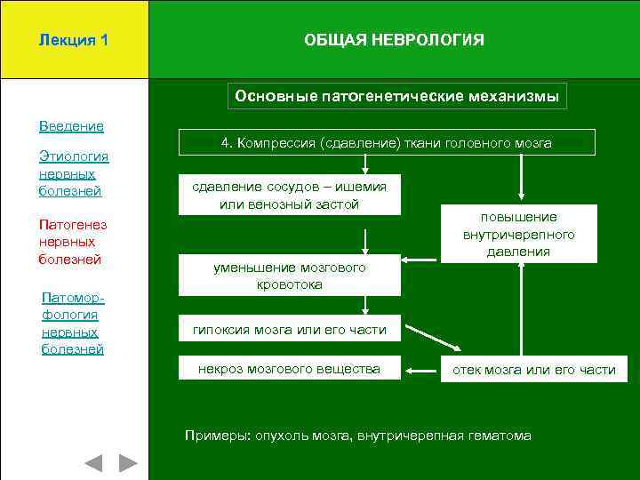 Лекция 1 ОБЩАЯ НЕВРОЛОГИЯ Основные патогенетические механизмы Введение Этиология нервных болезней Патогенез нервных болезней