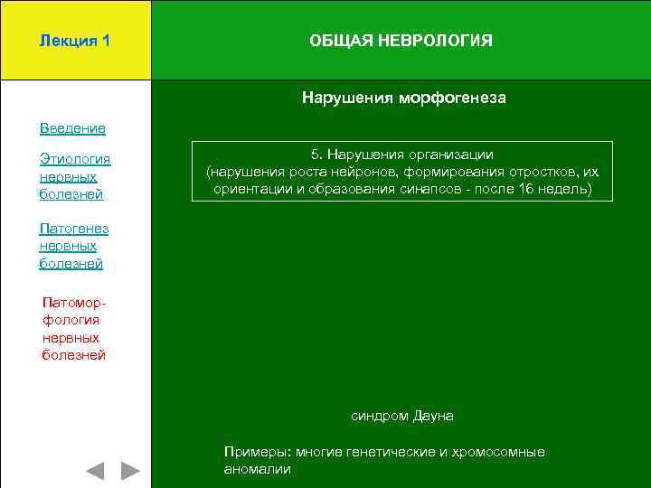 Лекция 1 ОБЩАЯ НЕВРОЛОГИЯ Нарушения морфогенеза Введение Этиология нервных болезней 5. Нарушения организации (нарушения