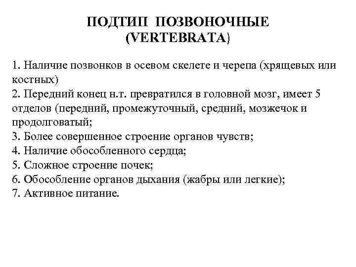 ПОДТИП ПОЗВОНОЧНЫЕ (VERTEBRATA) 1. Наличие позвонков в осевом скелете и черепа (хрящевых или костных)