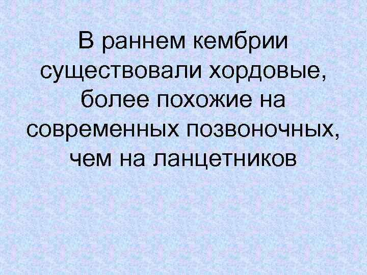 В раннем кембрии существовали хордовые, более похожие на современных позвоночных, чем на ланцетников 