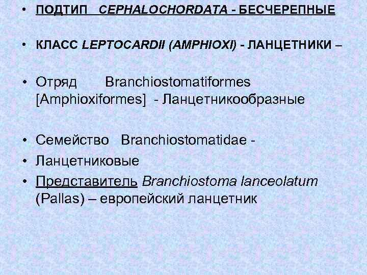  • ПОДТИП CEPHALOCHORDATA - БЕСЧЕРЕПНЫЕ • КЛАСС LEPTOCARDII (AMPHIOXI) - ЛАНЦЕТНИКИ – •