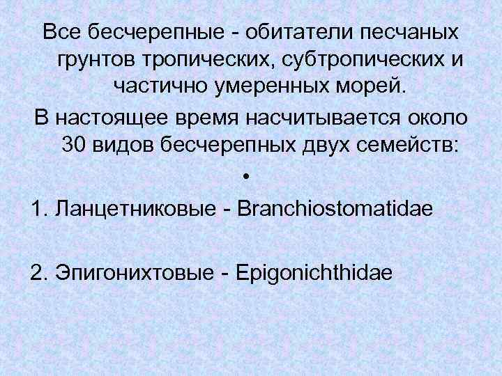 Все бесчерепные - обитатели песчаных грунтов тропических, субтропических и частично умеренных морей. В настоящее