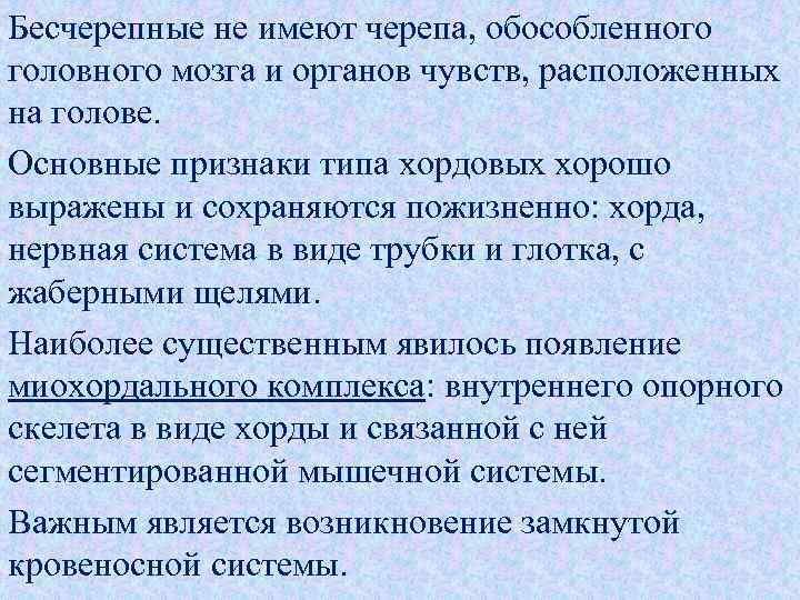 Бесчерепные не имеют черепа, обособленного головного мозга и органов чувств, расположенных на голове. Основные