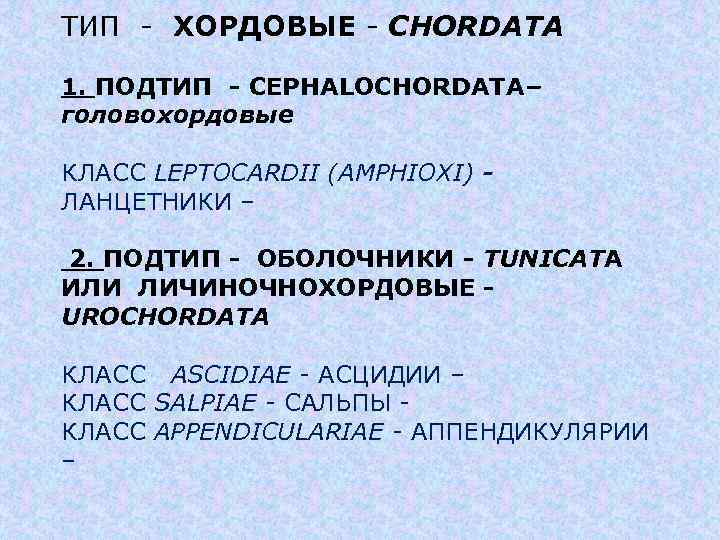 ТИП - ХОРДОВЫЕ - CHORDATA 1. ПОДТИП - CEPHALOCHORDATA– головохордовые КЛАСС LEPTOCARDII (AMPHIOXI) ЛАНЦЕТНИКИ