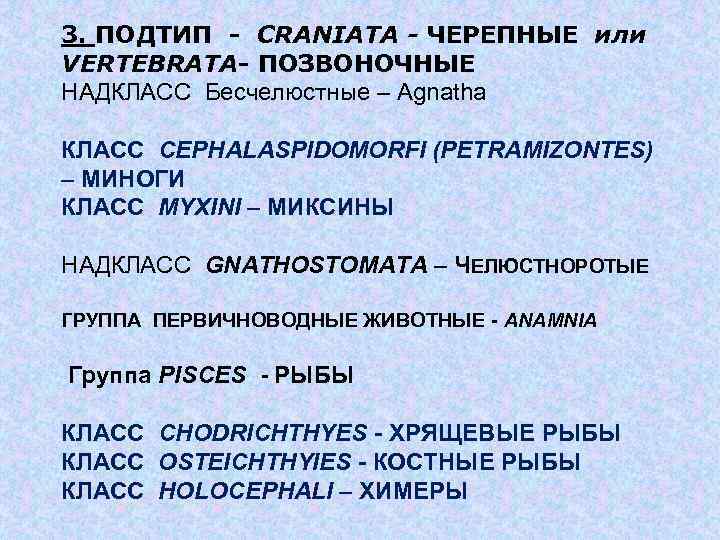 3. ПОДТИП - CRANIATA - ЧЕРЕПНЫЕ или VERTEBRATA- ПОЗВОНОЧНЫЕ НАДКЛАСС Бесчелюстные – Agnatha КЛАСС