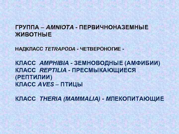 ГРУППА – AMNIOTA - ПЕРВИЧНОНАЗЕМНЫЕ ЖИВОТНЫЕ НАДКЛАСС TETRAPODA - ЧЕТВЕРОНОГИЕ - КЛАСС AMPHIBIA -