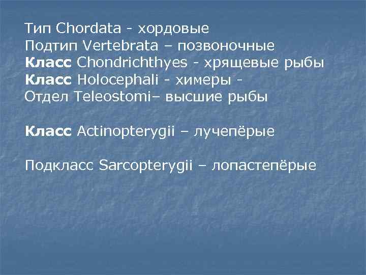 Тип Chordata - хордовые Подтип Vertebrata – позвоночные Класс Chondrichthyes - хрящевые рыбы Класс