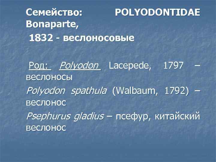Cемейство: POLYODONTIDAE Bonaparte, 1832 - веслоносовые Род: Polyodon Lacеpede, 1797 – веслоносы Polyodon spathula