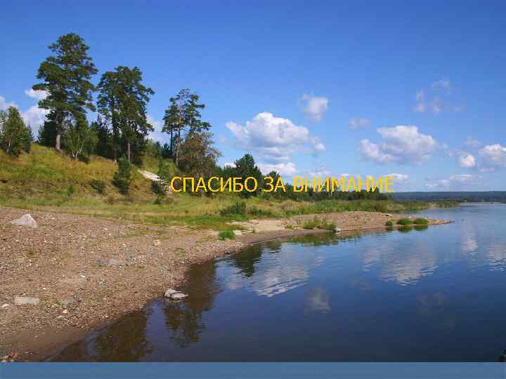 СПАСИБО ЗА ВНИМАНИЕ 