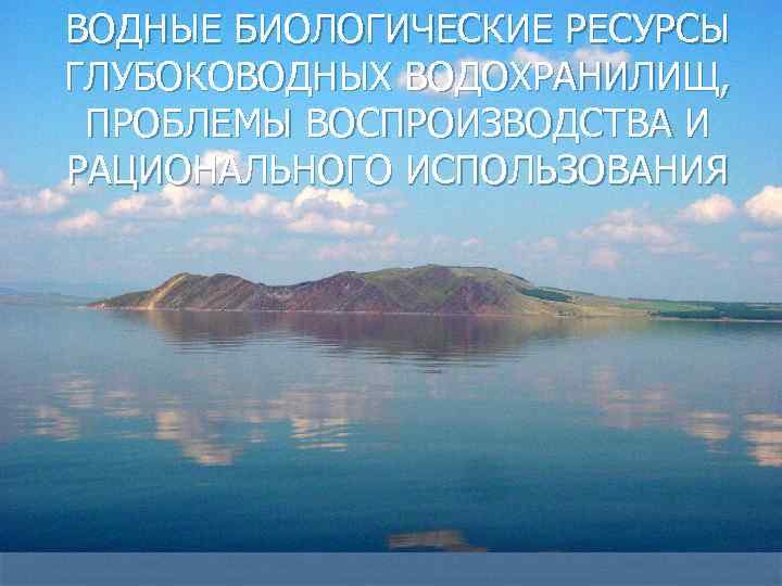 Водные биологические