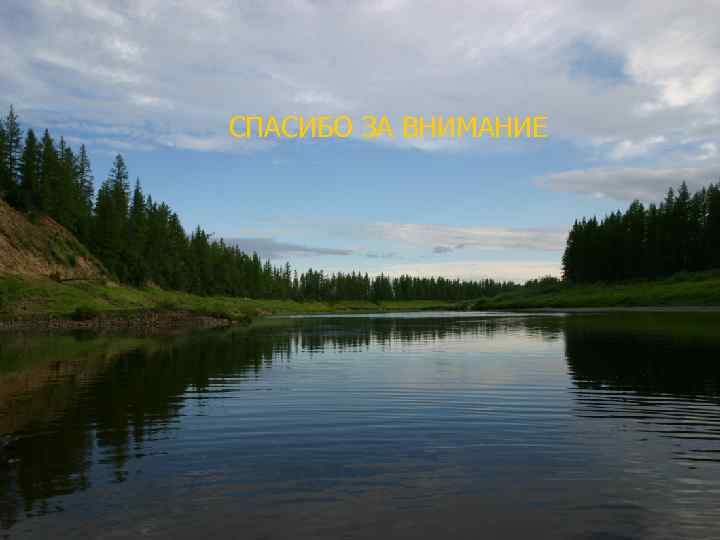 СПАСИБО ЗА ВНИМАНИЕ 