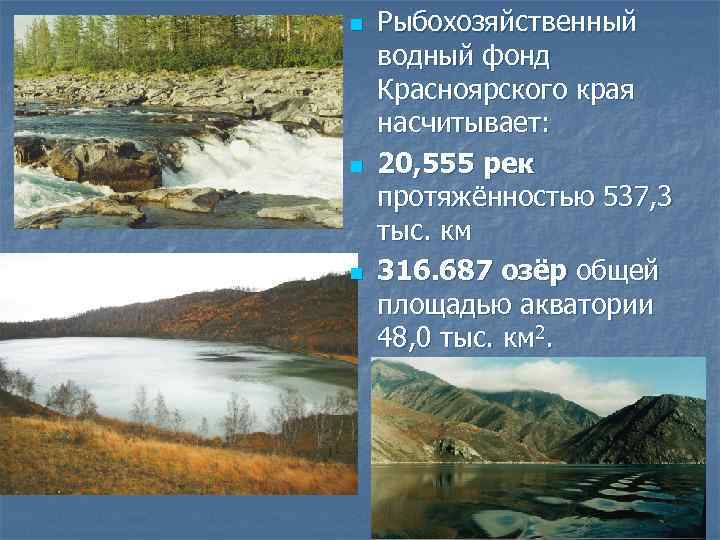 n n n Рыбохозяйственный водный фонд Красноярского края насчитывает: 20, 555 рек протяжённостью 537,