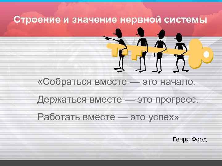 Строение и значение нервной системы «Собраться вместе — это начало. Держаться вместе — это