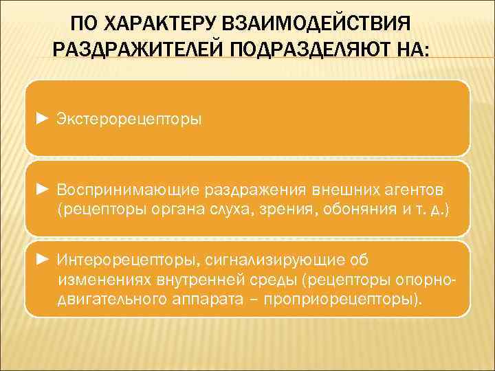 ПО ХАРАКТЕРУ ВЗАИМОДЕЙСТВИЯ РАЗДРАЖИТЕЛЕЙ ПОДРАЗДЕЛЯЮТ НА: ► Экстерорецепторы ► Воспринимающие раздражения внешних агентов (рецепторы