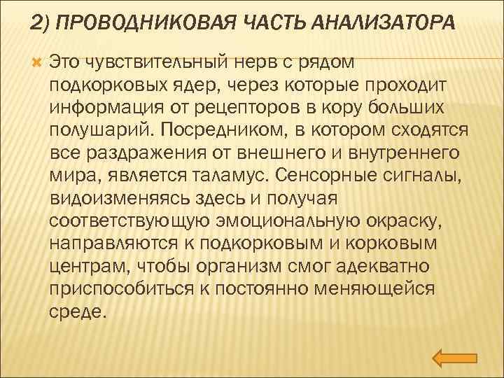 2) ПРОВОДНИКОВАЯ ЧАСТЬ АНАЛИЗАТОРА Это чувствительный нерв с рядом подкорковых ядер, через которые проходит