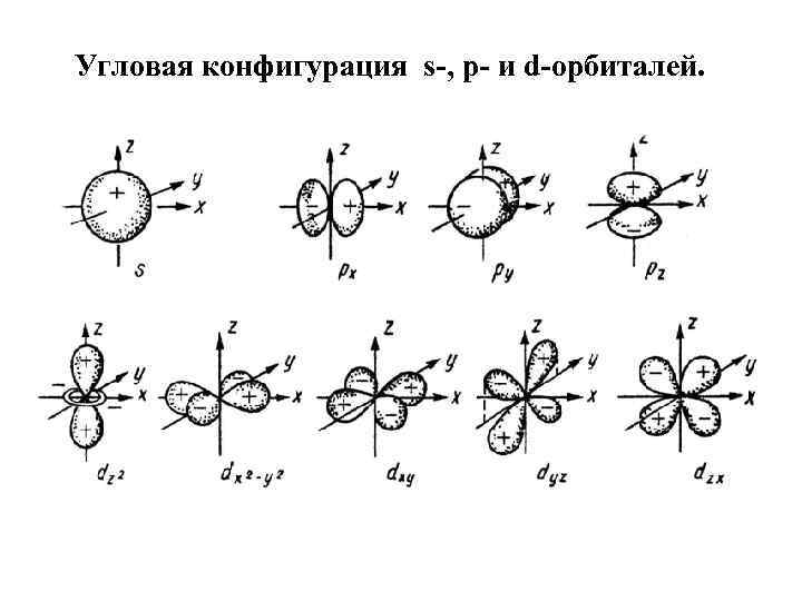 D конфигурация. Строение s p орбиталей. Волновая функция p орбитали. Строение d орбитали. Строение атома орбитали.