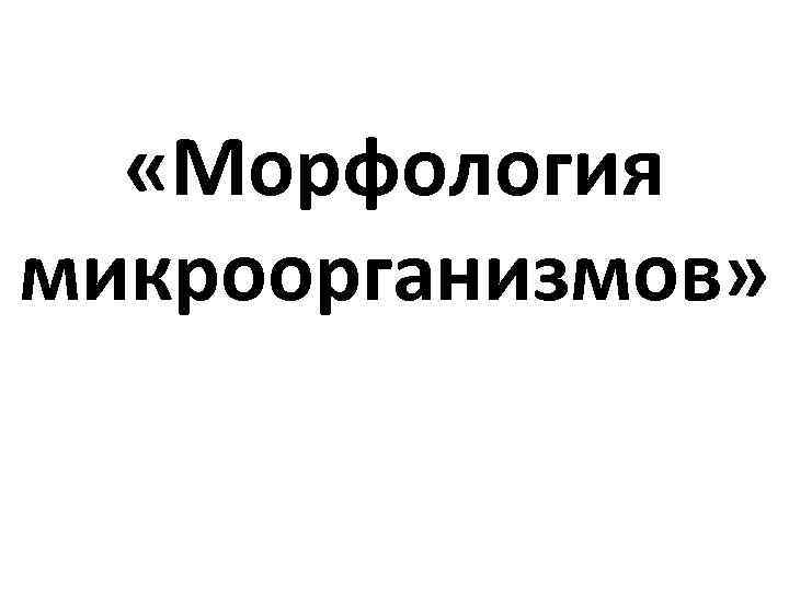  «Морфология микроорганизмов» 