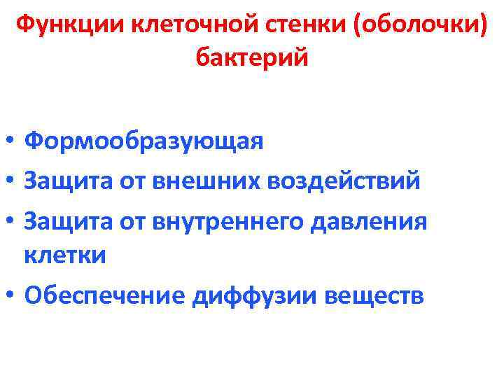 Функции клеточной стенки (оболочки) бактерий • Формообразующая • Защита от внешних воздействий • Защита