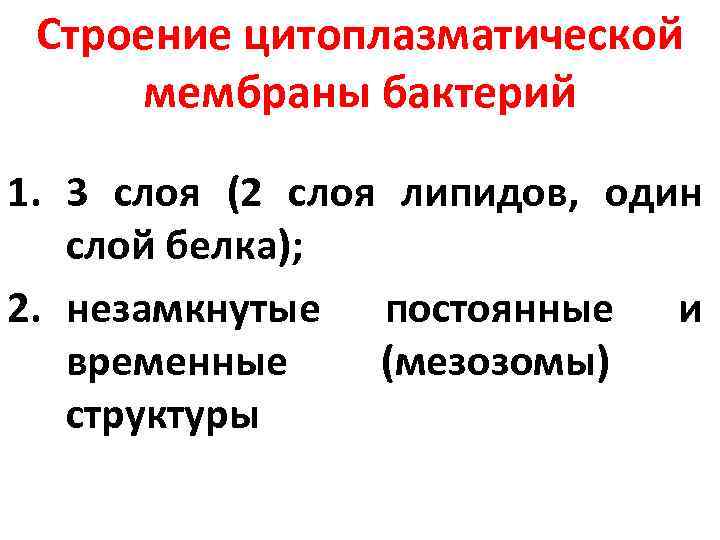 Строение цитоплазматической мембраны бактерий 1. 3 слоя (2 слоя липидов, один слой белка); 2.