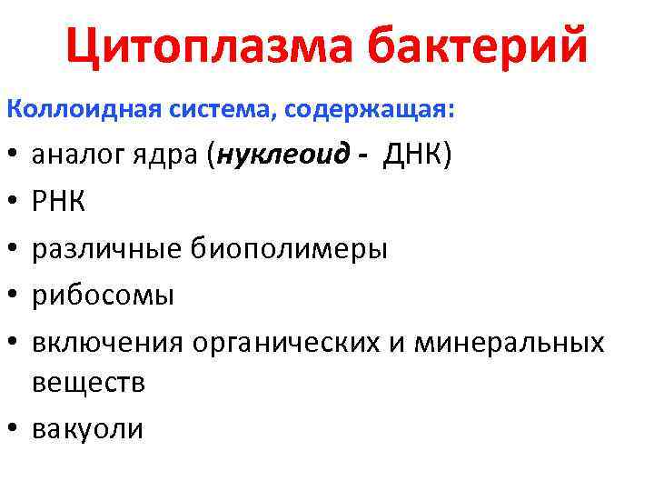 Цитоплазма бактерий Коллоидная система, содержащая: аналог ядра (нуклеоид - ДНК) РНК различные биополимеры рибосомы