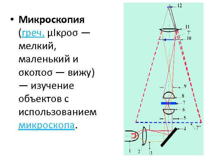  • Микроскопия (греч. μΙκροσ — мелкий, маленький и σκοποσ — вижу) — изучение