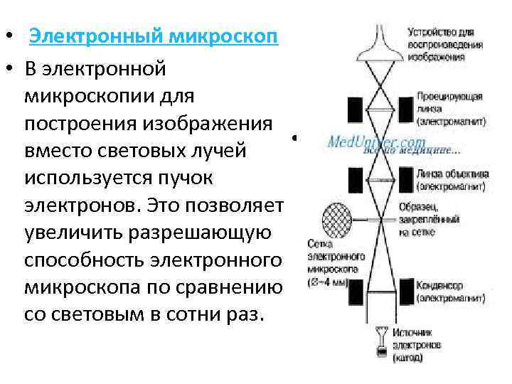 Электронная микроскопия принцип микроскопии