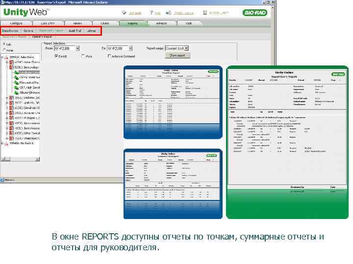 В окне REPORTS доступны отчеты по точкам, суммарные отчеты и отчеты для руководителя. 