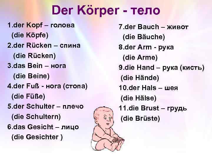 Der Körper - тело 1. der Kopf – голова (die Köpfe) 2. der Rücken