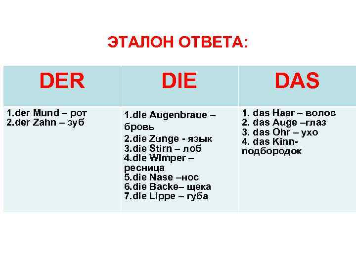 ЭТАЛОН ОТВЕТА: DER 1. der Mund – рот 2. der Zahn – зуб DIE