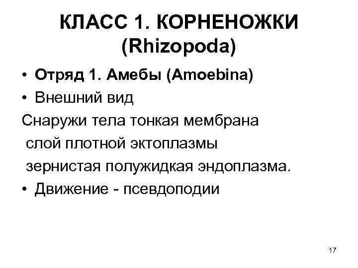 КЛАСС 1. КОРНЕНОЖКИ (Rhizopoda) • Отряд 1. Амебы (Amoebina) • Внешний вид Снаружи тела