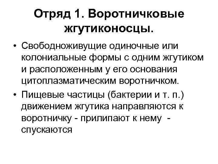 Отряд 1. Воротничковые жгутиконосцы. • Свободноживущие одиночные или колониальные формы с одним жгутиком и