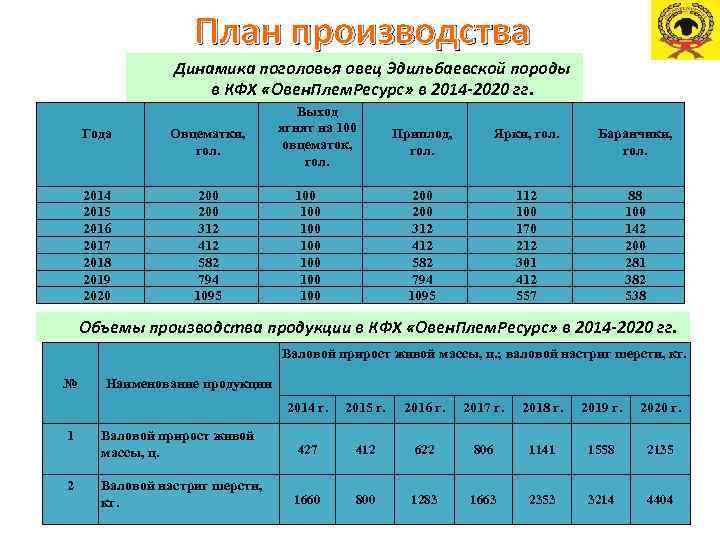 План производства Динамика поголовья овец Эдильбаевской породы в КФХ «Овен. Плем. Ресурс» в 2014
