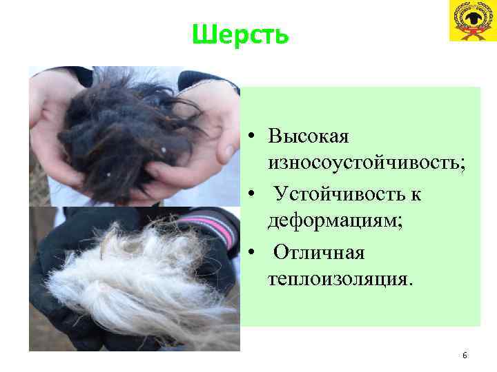 Шерсть • Высокая износоустойчивость; • Устойчивость к деформациям; • Отличная теплоизоляция. 6 