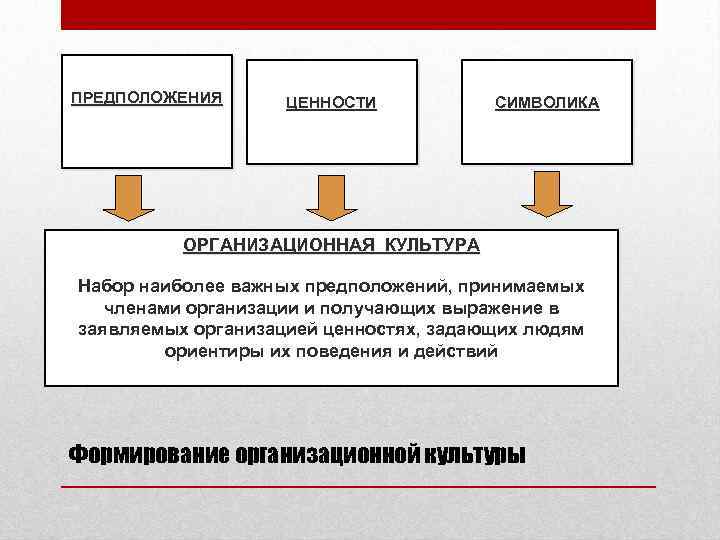 Организовать ценность. Символика в организационной культуре. Атрибуты организационной культуры. Ценности организационной культуры примеры. Нормы организационной культуры.