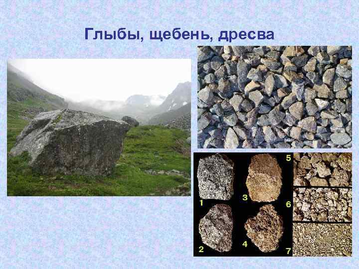Осадочные горные породы структура и текстура
