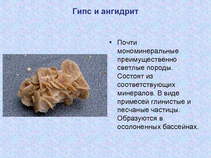 Гипс и ангидрит • Почти мономинеральные преимущественно светлые породы. Состоят из соответствующих минералов. В