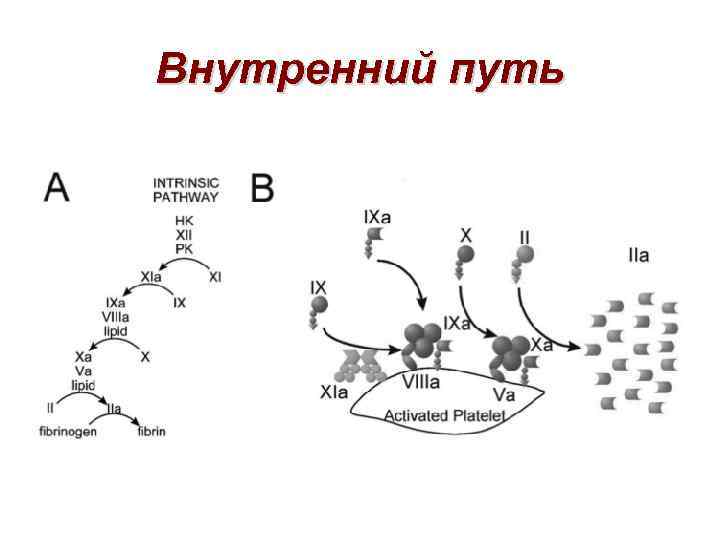 Внутренний путь 