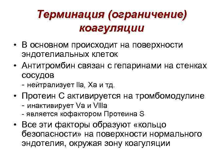 Терминация (ограничение) коагуляции • В основном происходит на поверхности эндотелиальных клеток • Антитромбин связан
