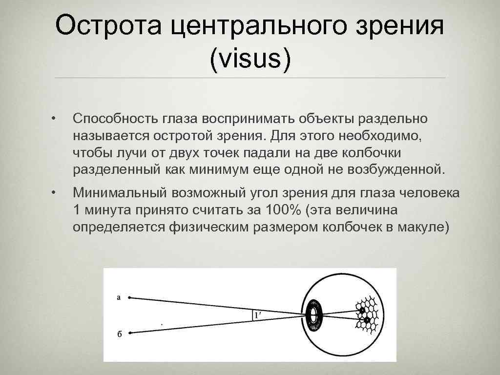 Способность глаза различать контуры изображений деталей на фоне близкой цветности это