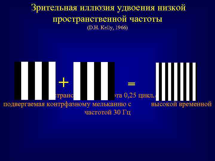  Зрительная иллюзия удвоения низкой пространственной частоты (D. H. Kelly, 1966) + = Пространственная