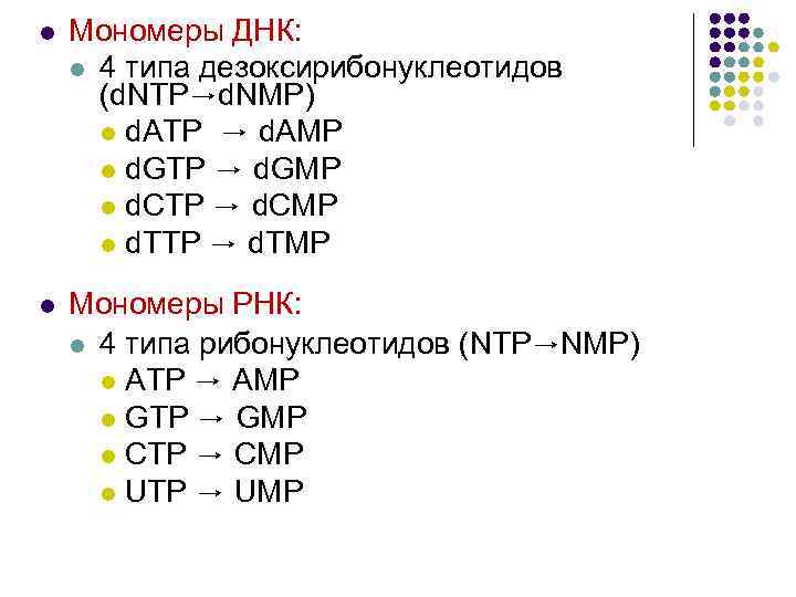 l Мономеры ДНК: l 4 типа дезоксирибонуклеотидов (d. NTP→d. NMP) l d. ATP →