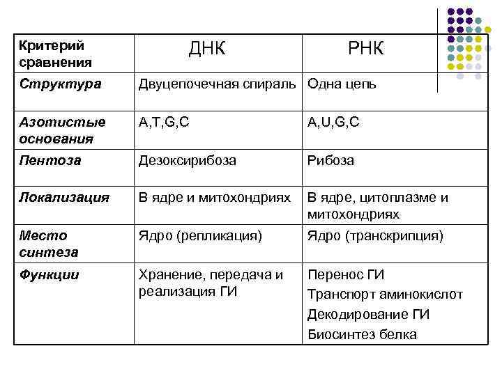 Критерий сравнения ДНК РНК Структура Двуцепочечная спираль Одна цепь Азотистые основания A, T, G,