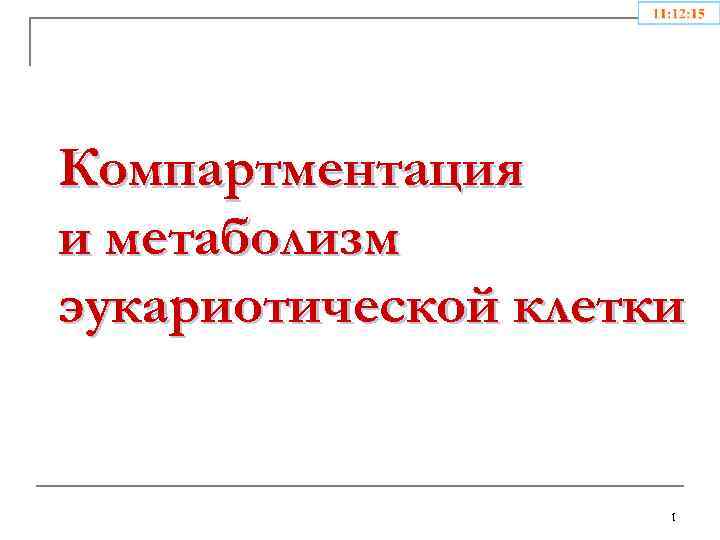 Компартментация и метаболизм эукариотической клетки 1 
