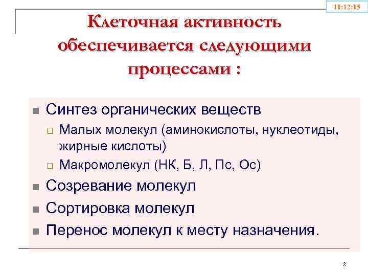 Клеточная активность обеспечивается следующими процессами : n Синтез органических веществ q q n n